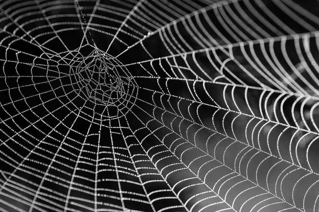 30代のWEB業界への転職に成功するためのポイントは？