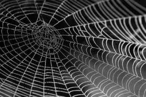 30代のWEB業界への転職に成功するためのポイントは？